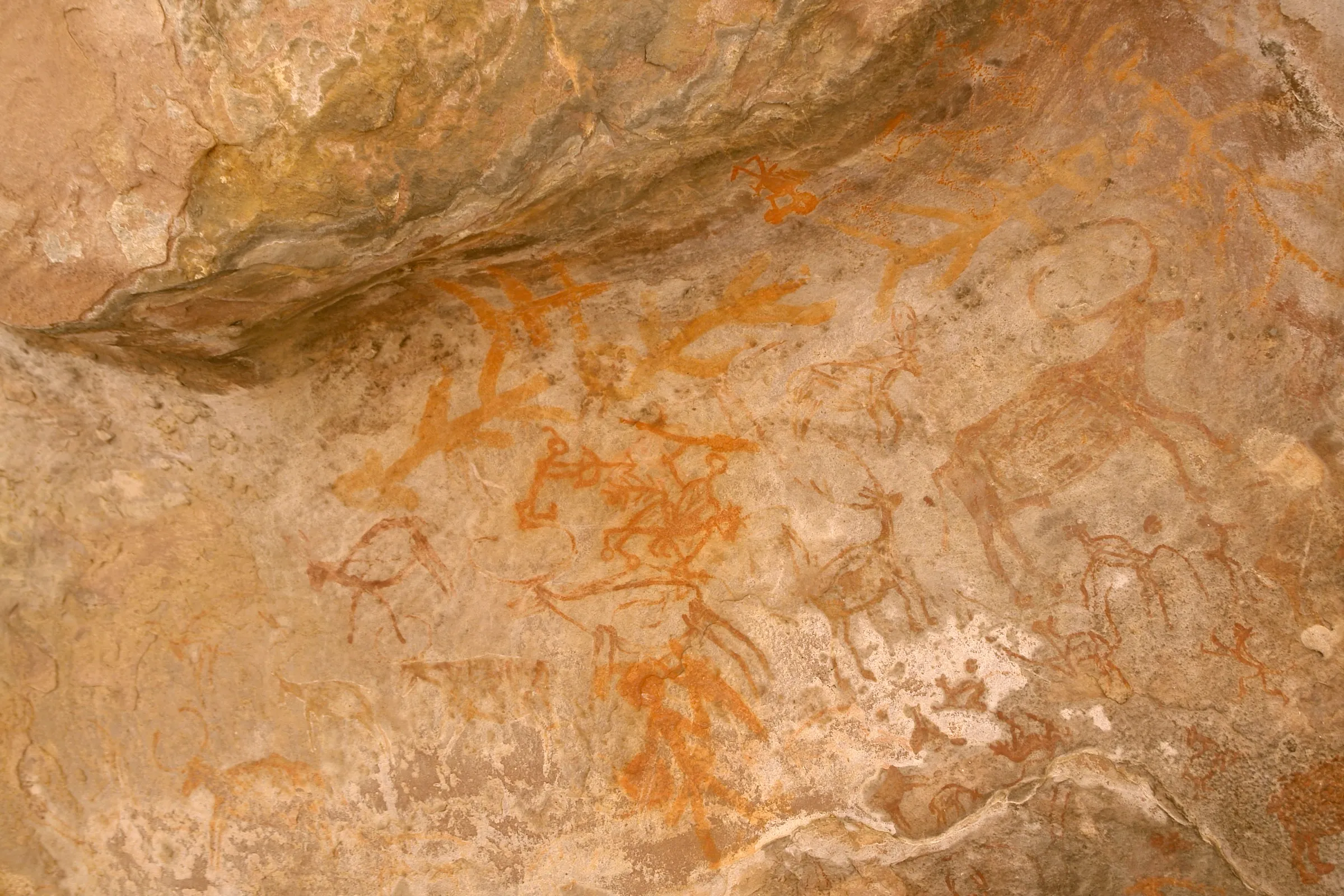Red and white rock paintings of animals and human figures on the sandstone wall of a rock shelter