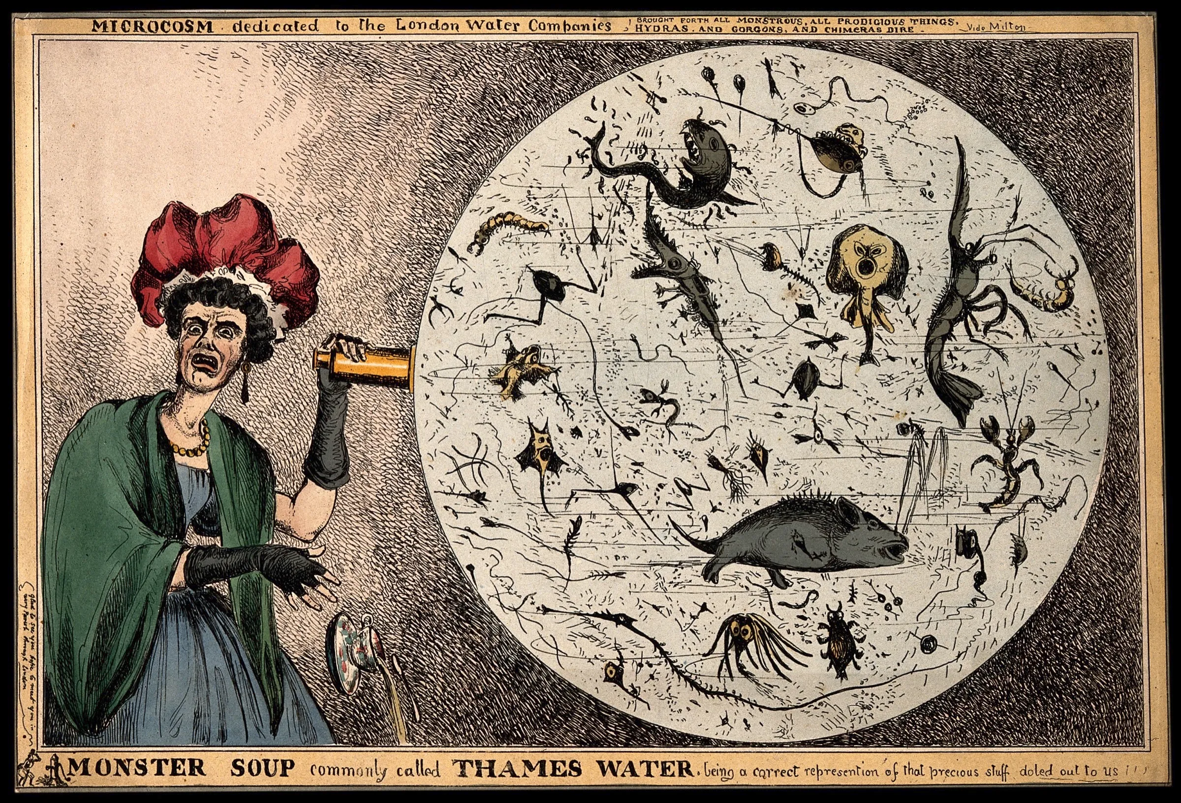 A coloured etching: a woman in a bonnet drops her teacup in horror as she looks through a microscope at a huge circle crowded with grotesque monsters, labelled as a drop of Thames water