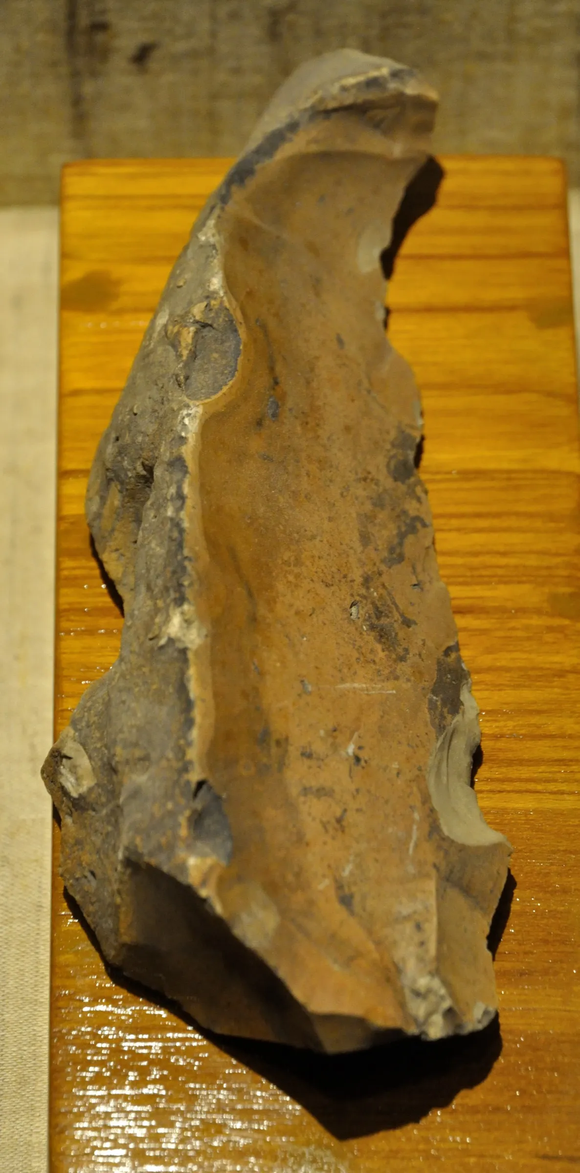 A large pear-shaped stone handaxe displayed upright in a museum case