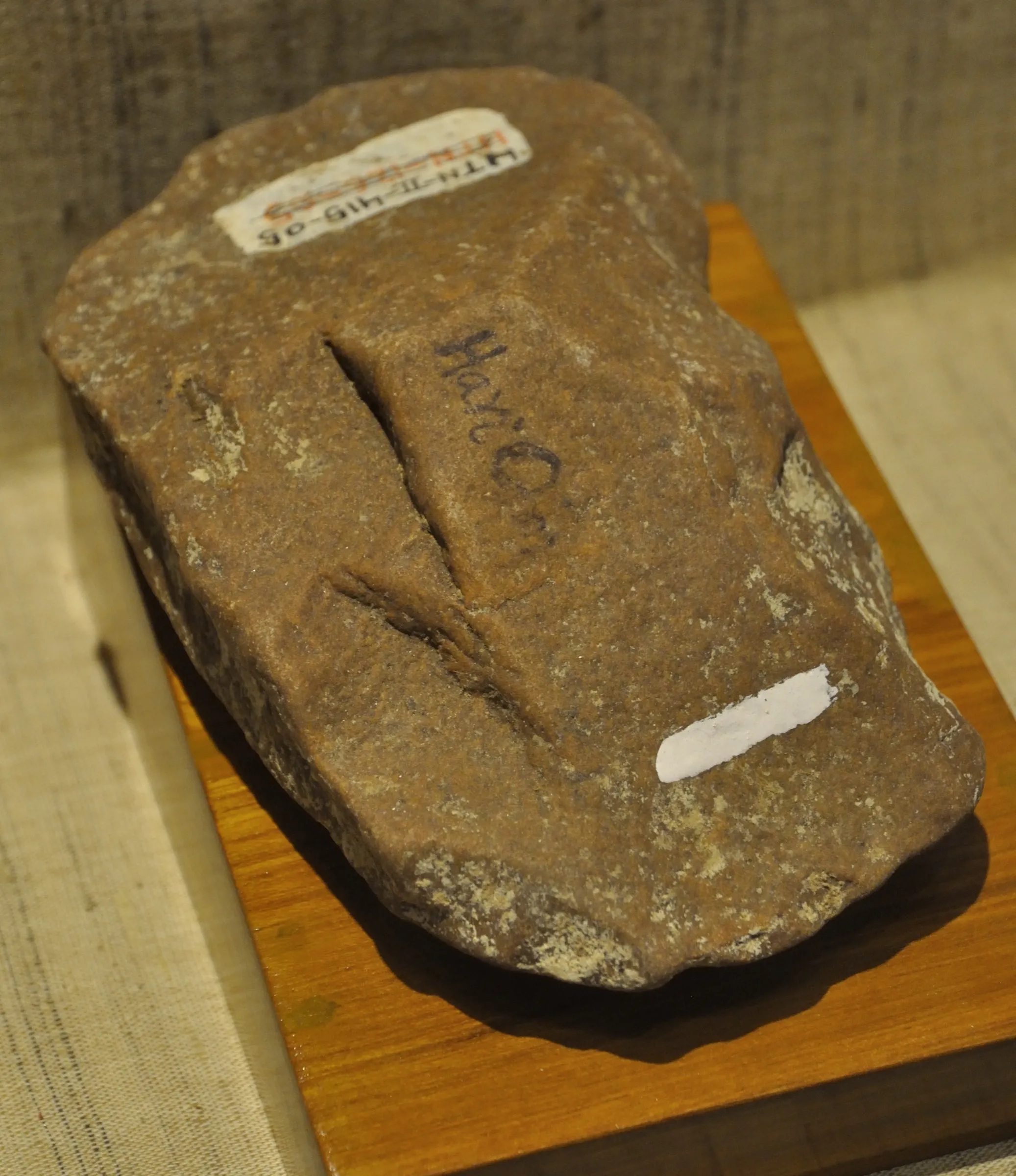 A broad stone cleaver with a straight cutting edge, displayed in a museum case