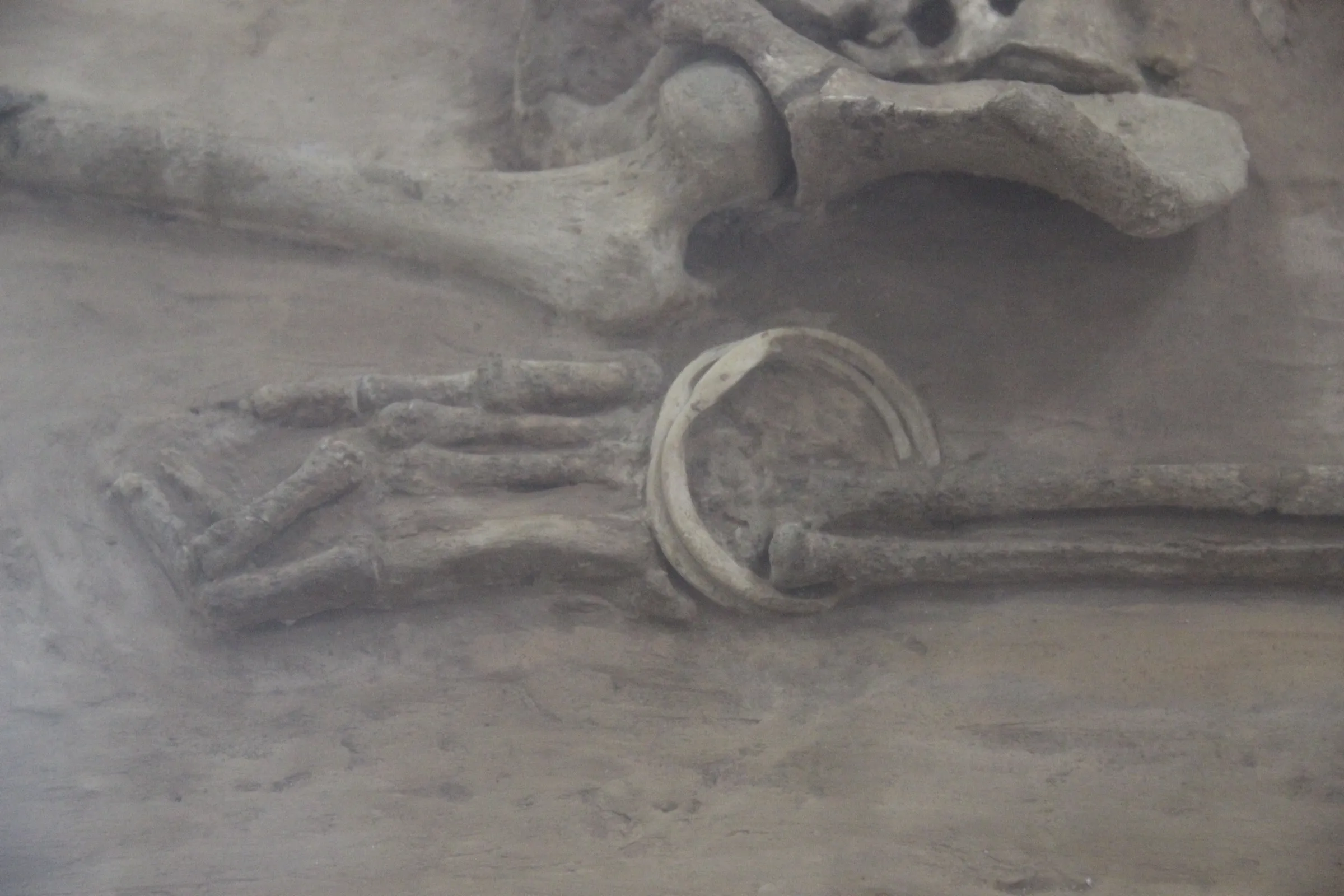 A Harappan skeleton lying on its back in an excavated grave, displayed with clay pots placed at the head