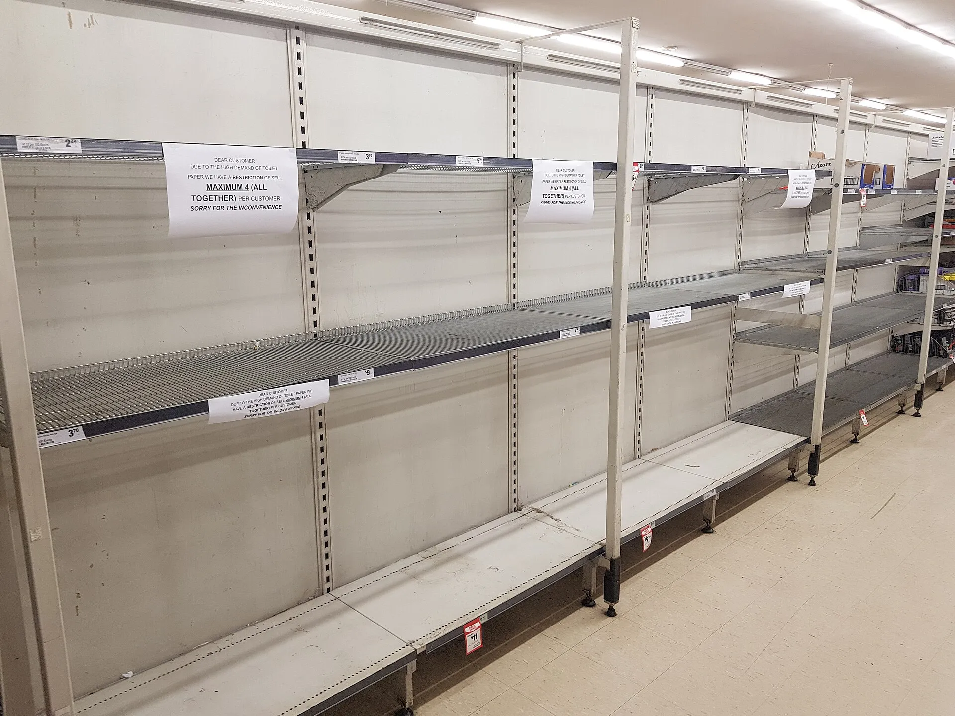 Long, completely empty supermarket shelves where toilet paper is normally stocked, under fluorescent lights